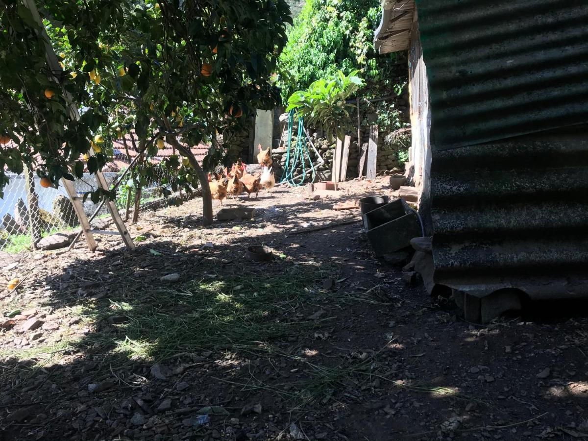 Willa Casa Do Volframio Arouca Zewnętrze zdjęcie